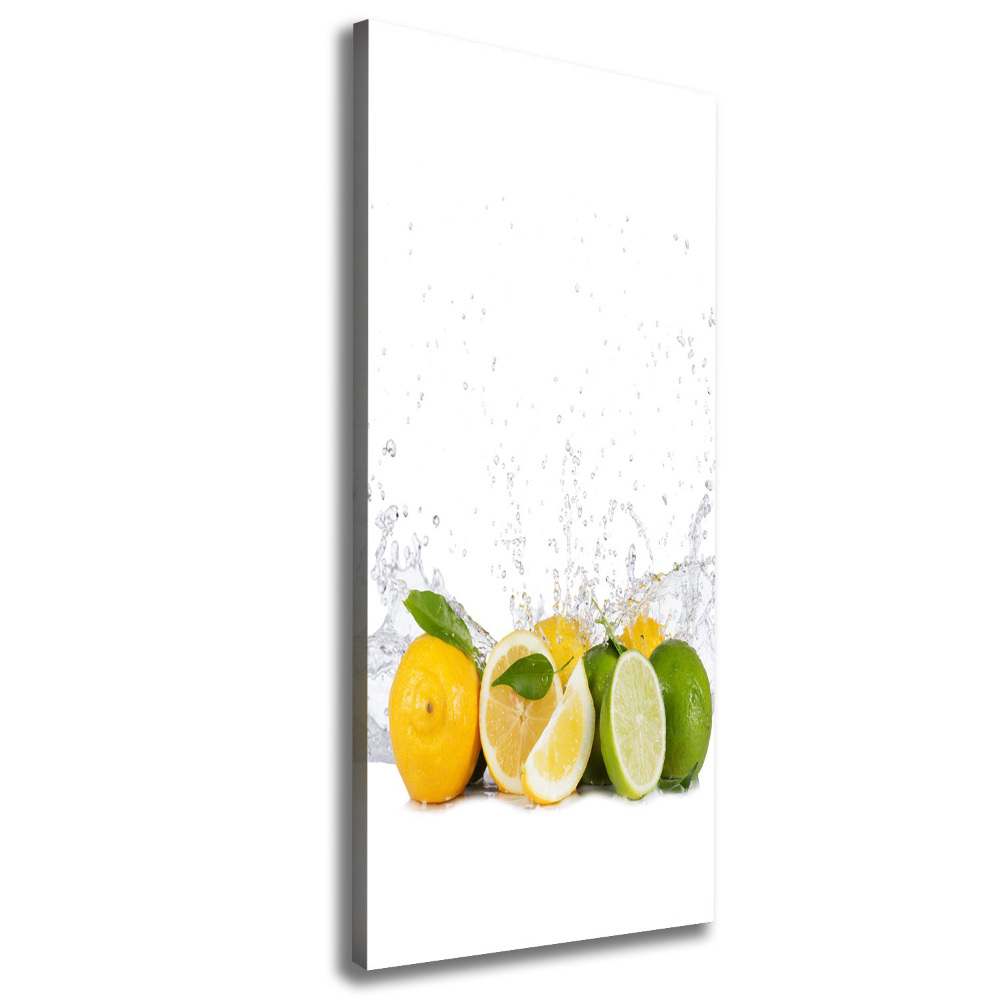 Canvas wall art Citruses