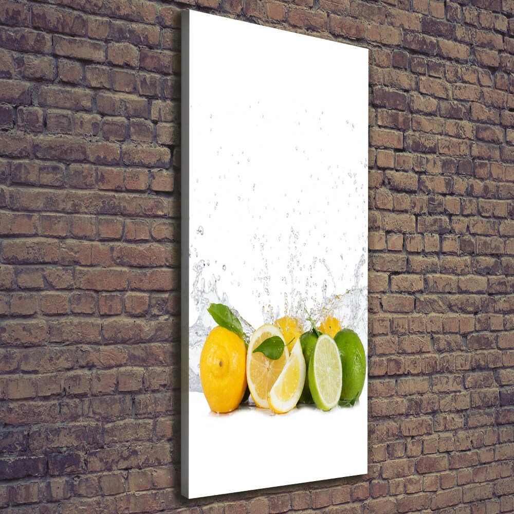 Canvas wall art Citruses