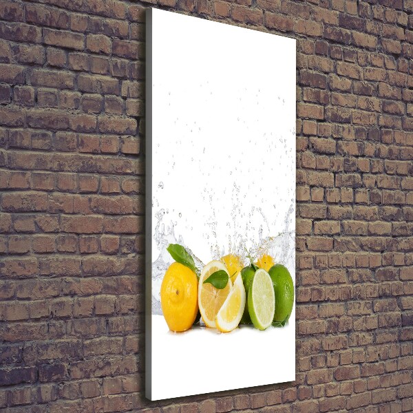 Canvas wall art Citruses