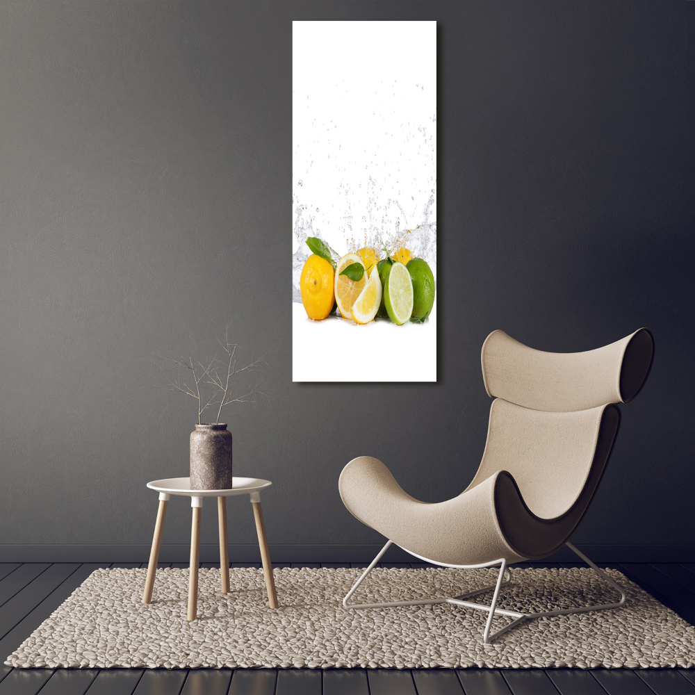 Canvas wall art Citruses