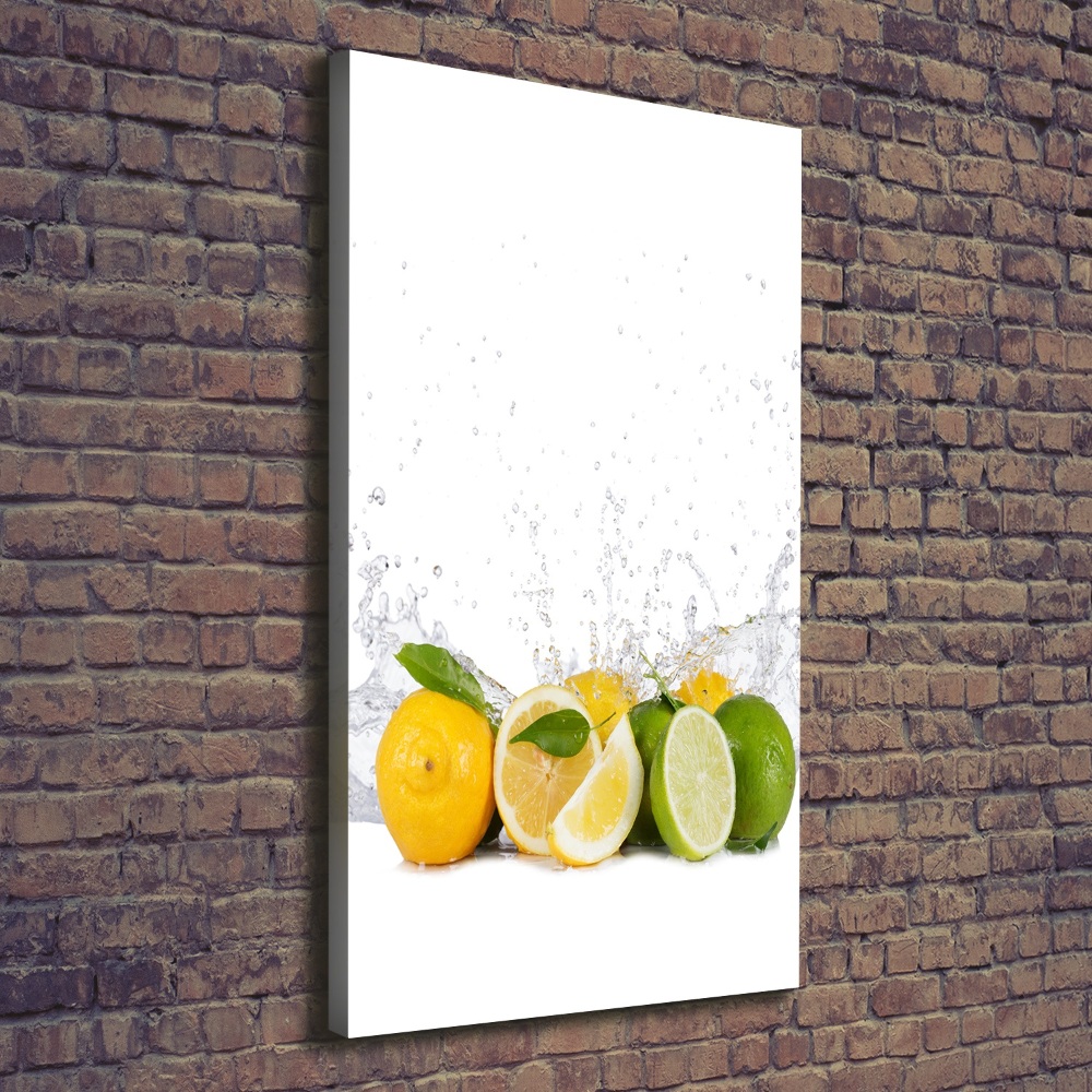 Canvas wall art Citruses