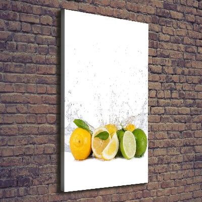 Canvas wall art Citruses