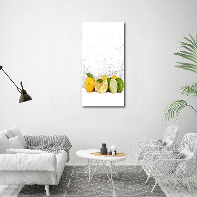 Canvas wall art Citruses