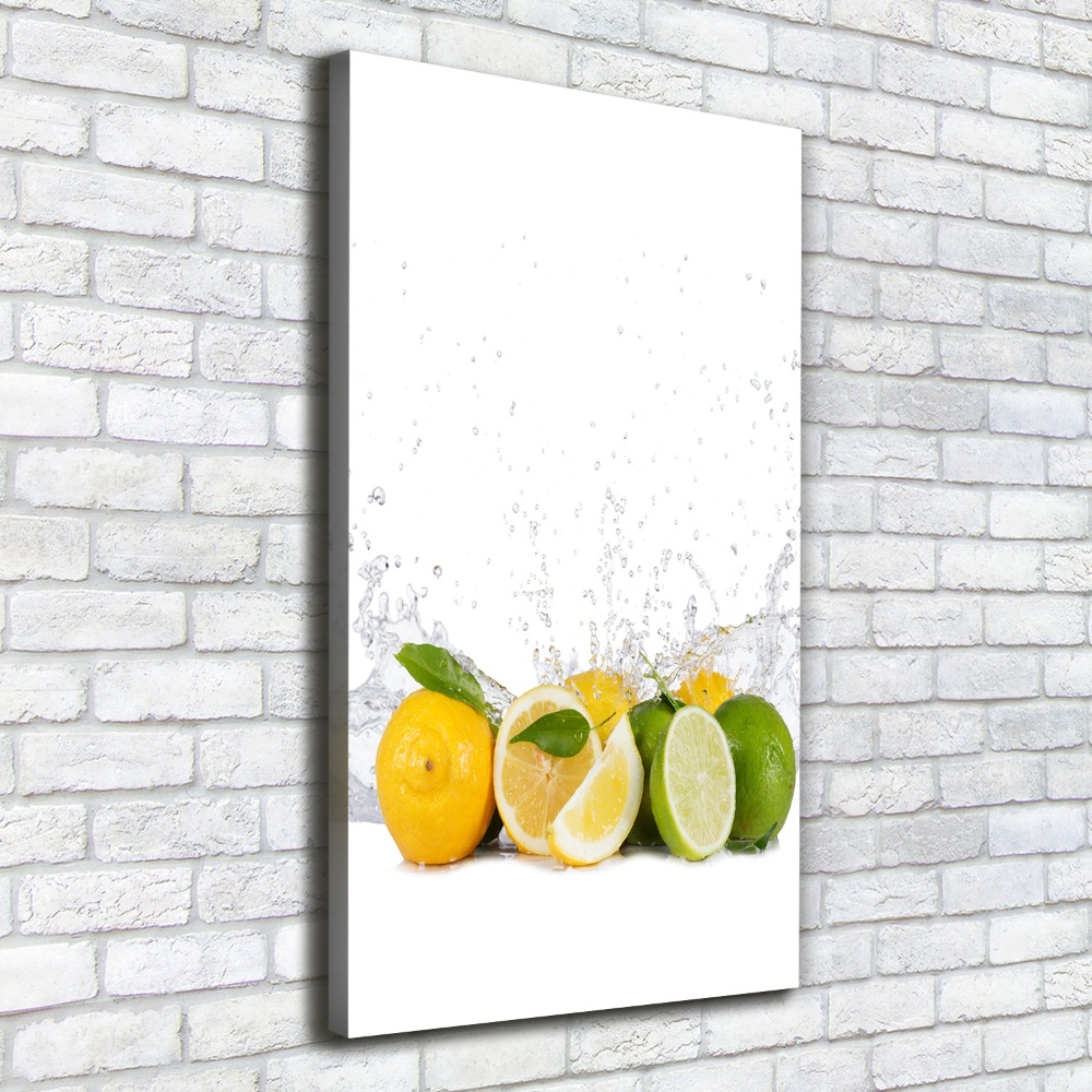 Canvas wall art Citruses