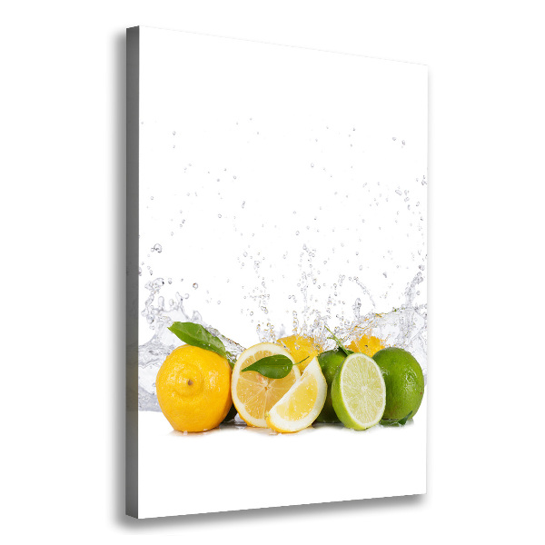 Canvas wall art Citruses