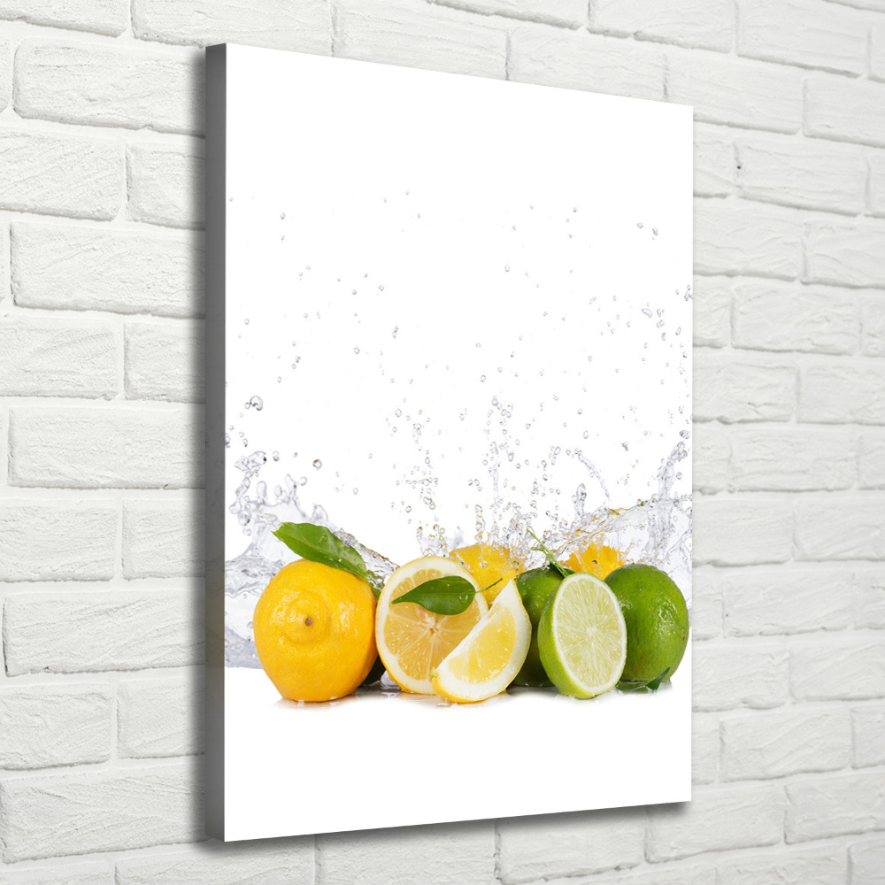 Canvas wall art Citruses