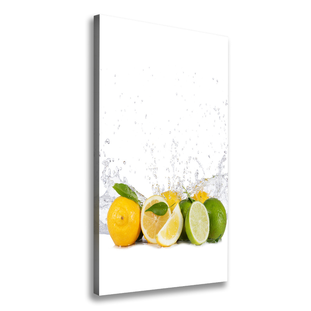 Canvas wall art Citruses