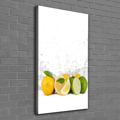 Canvas wall art Citruses