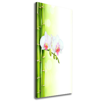 Wall art canvas large Orchid and bamboo