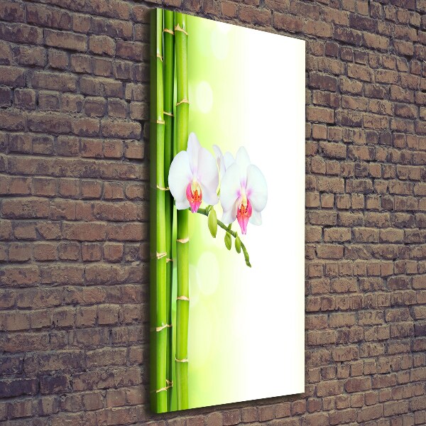 Wall art canvas large Orchid and bamboo