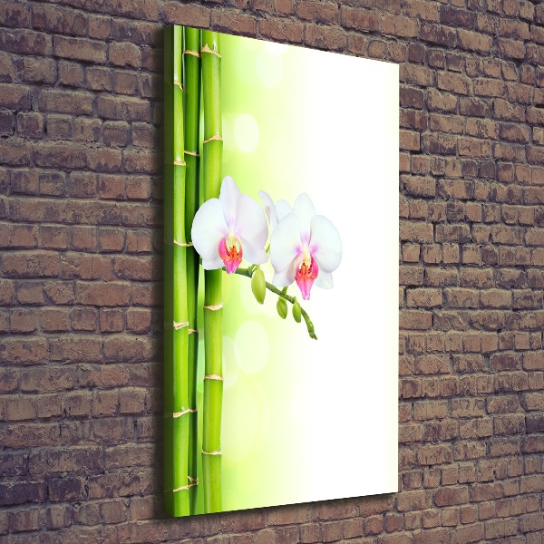 Wall art canvas large Orchid and bamboo