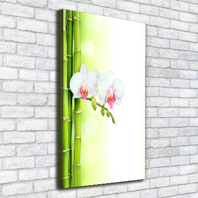 Wall art canvas large Orchid and bamboo