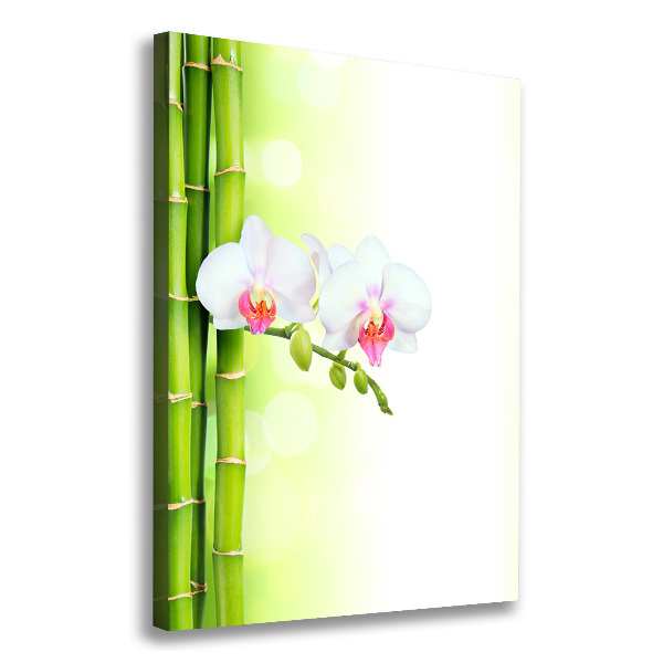 Wall art canvas large Orchid and bamboo