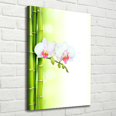 Wall art canvas large Orchid and bamboo