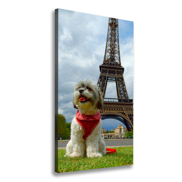 Large canvas wall art Dog in Paris