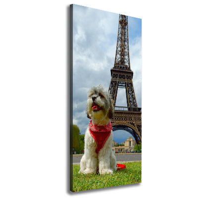 Large canvas wall art Dog in Paris