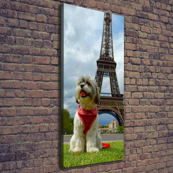 Large canvas wall art Dog in Paris