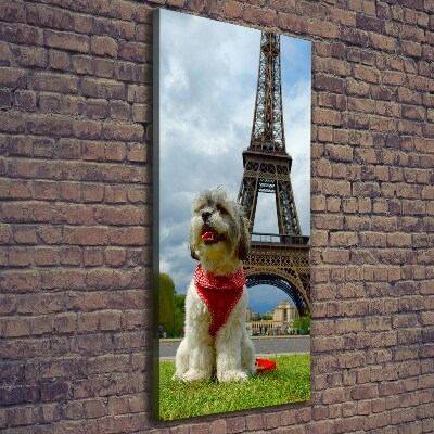 Large canvas wall art Dog in Paris