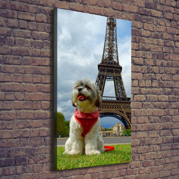 Large canvas wall art Dog in Paris