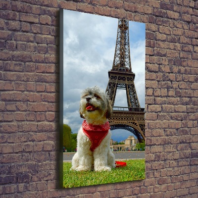 Large canvas wall art Dog in Paris