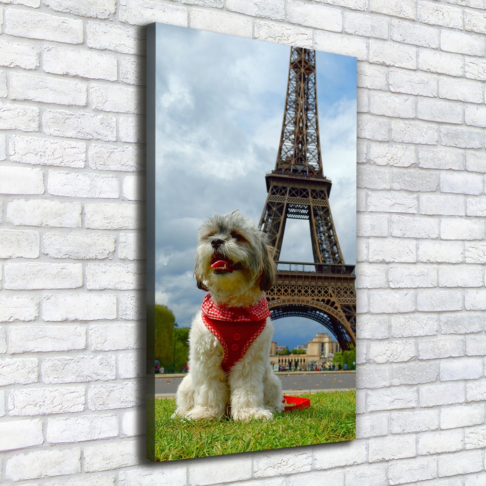 Large canvas wall art Dog in Paris