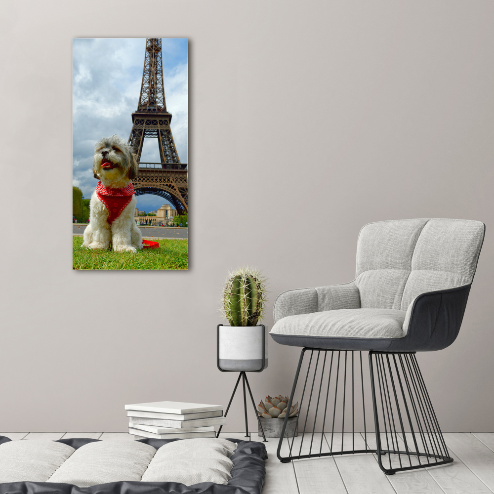 Large canvas wall art Dog in Paris