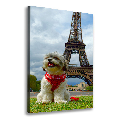 Large canvas wall art Dog in Paris