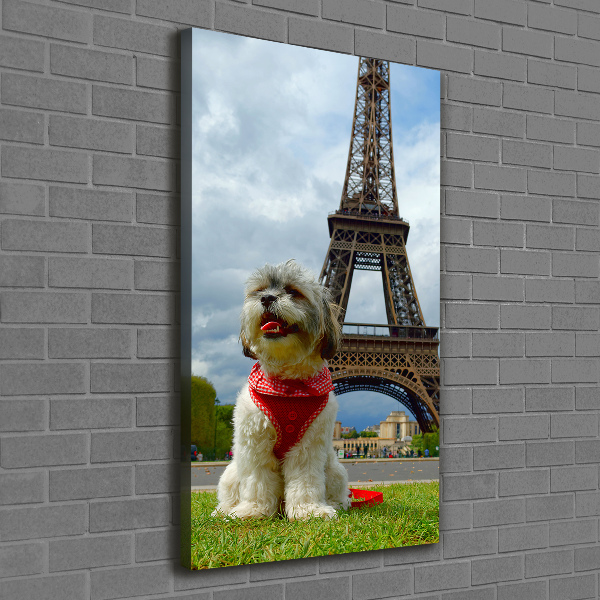 Large canvas wall art Dog in Paris