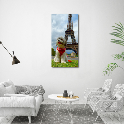 Large canvas wall art Dog in Paris