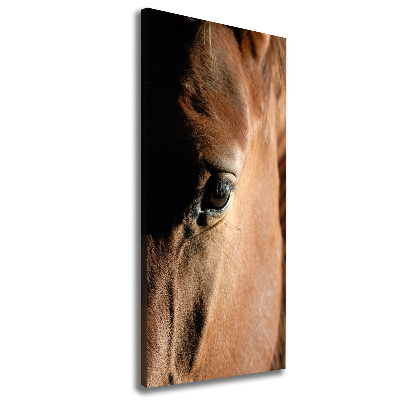 Canvas print Horse