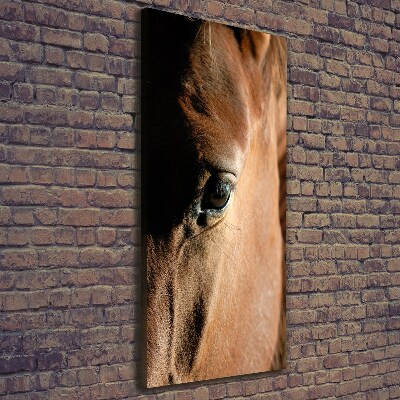 Canvas print Horse