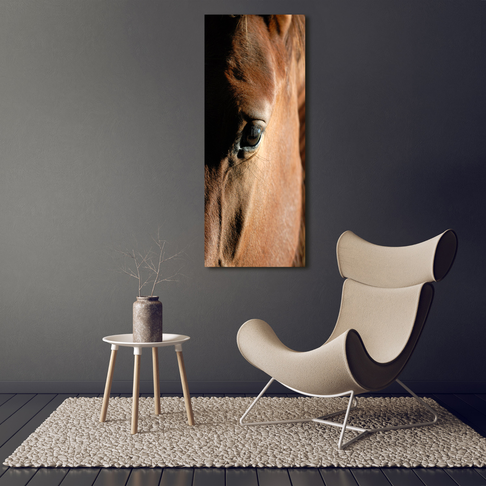 Canvas print Horse