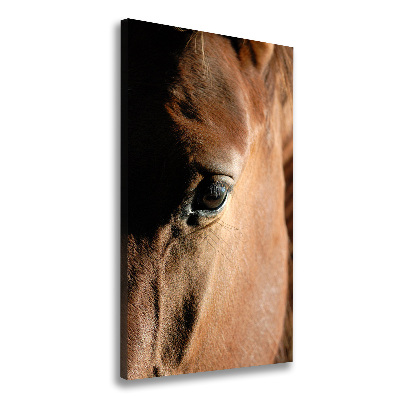 Canvas print Horse