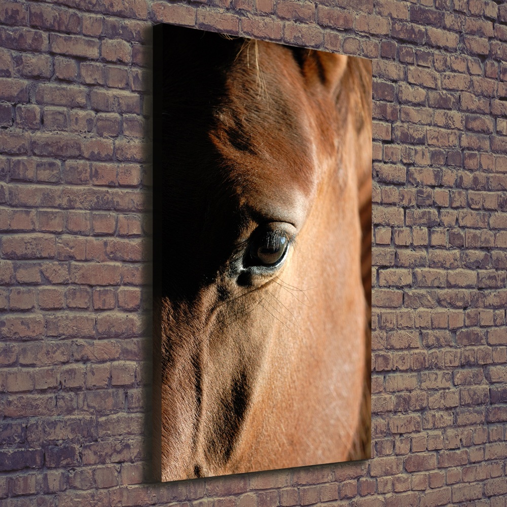 Canvas print Horse