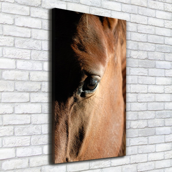 Canvas print Horse