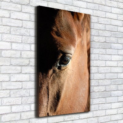 Canvas print Horse