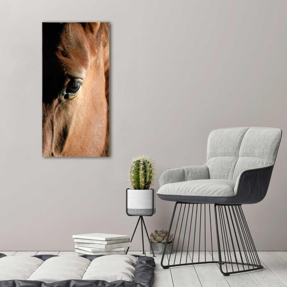 Canvas print Horse