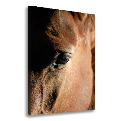 Canvas print Horse