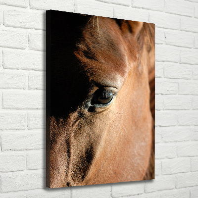 Canvas print Horse