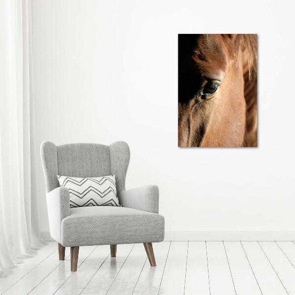 Canvas print Horse