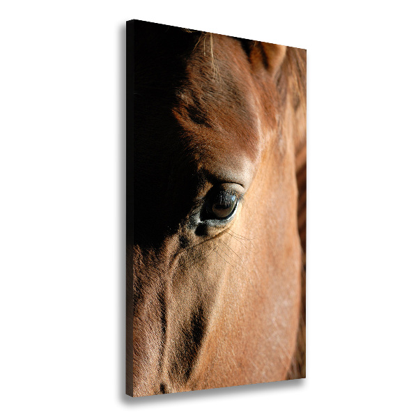 Canvas print Horse