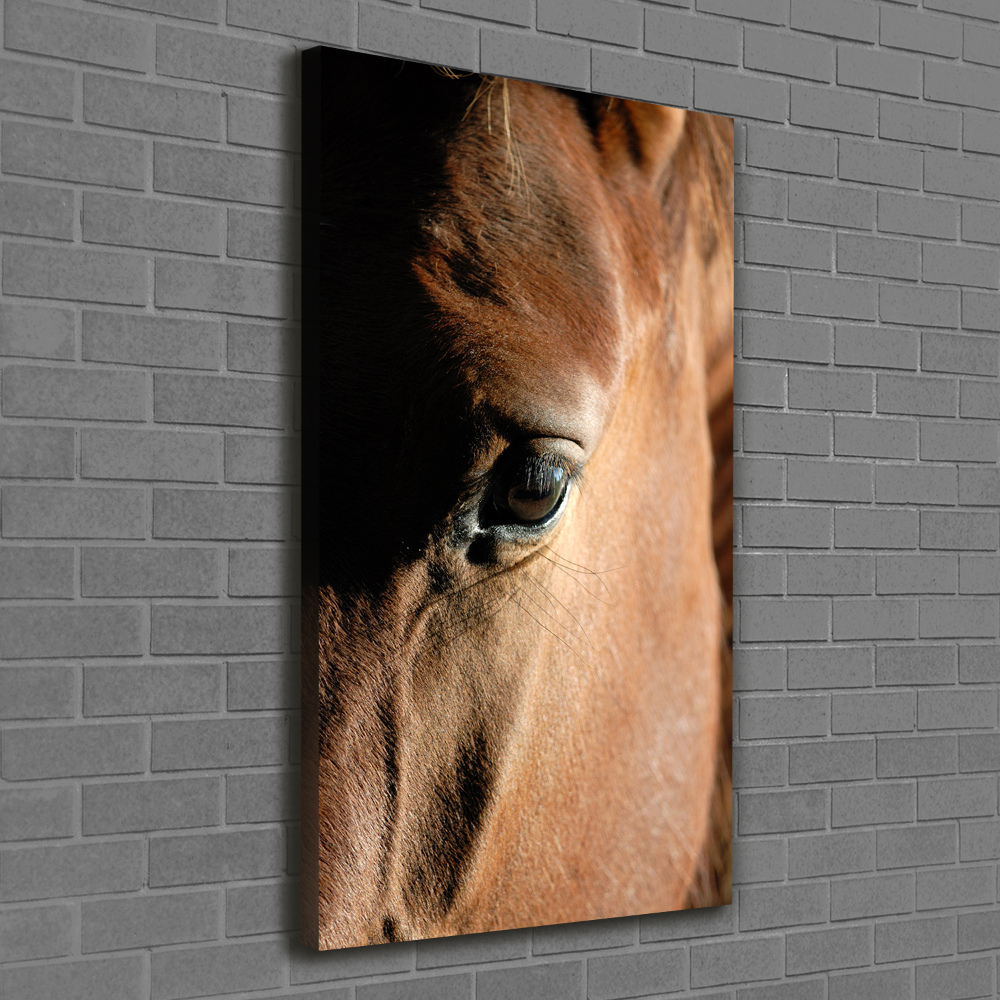 Canvas print Horse