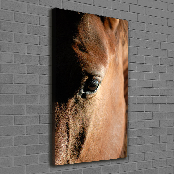 Canvas print Horse