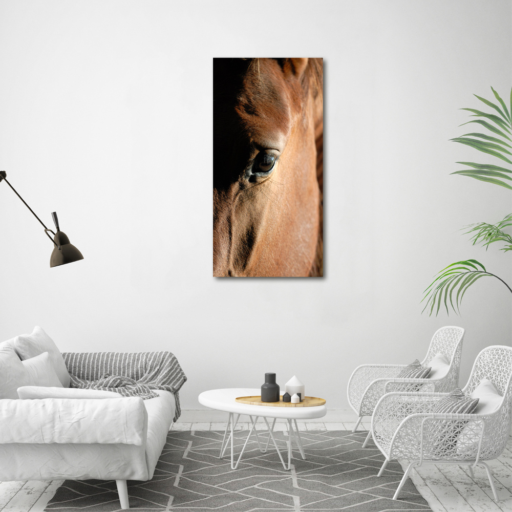 Canvas print Horse