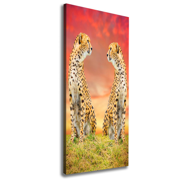 Canvas print Two cheetahs