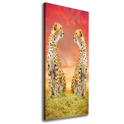 Canvas print Two cheetahs