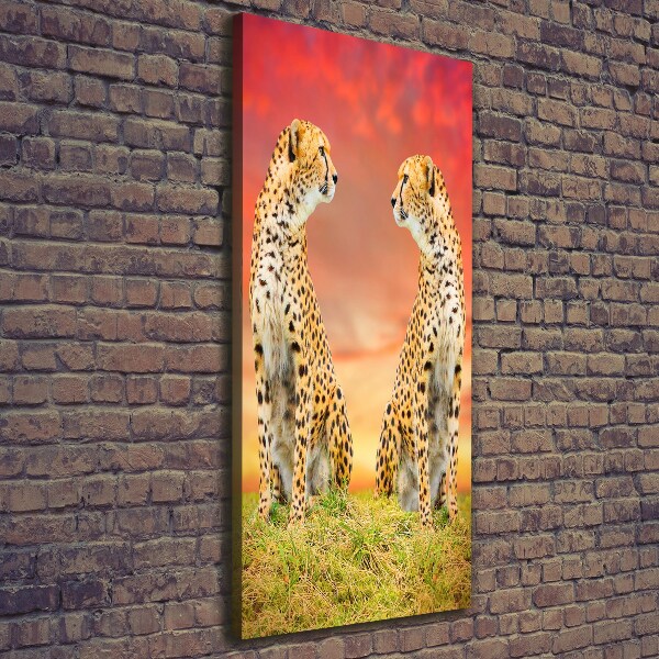 Canvas print Two cheetahs