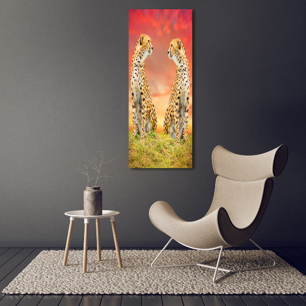 Canvas print Two cheetahs