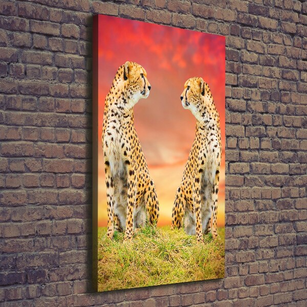 Canvas print Two cheetahs