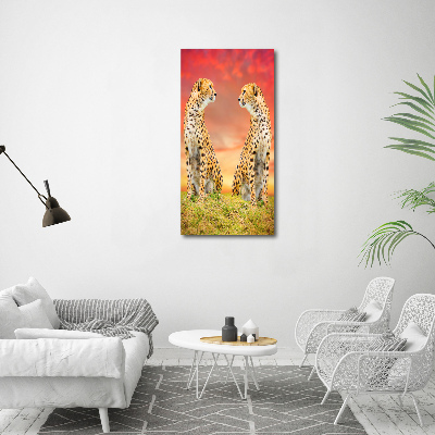 Canvas print Two cheetahs